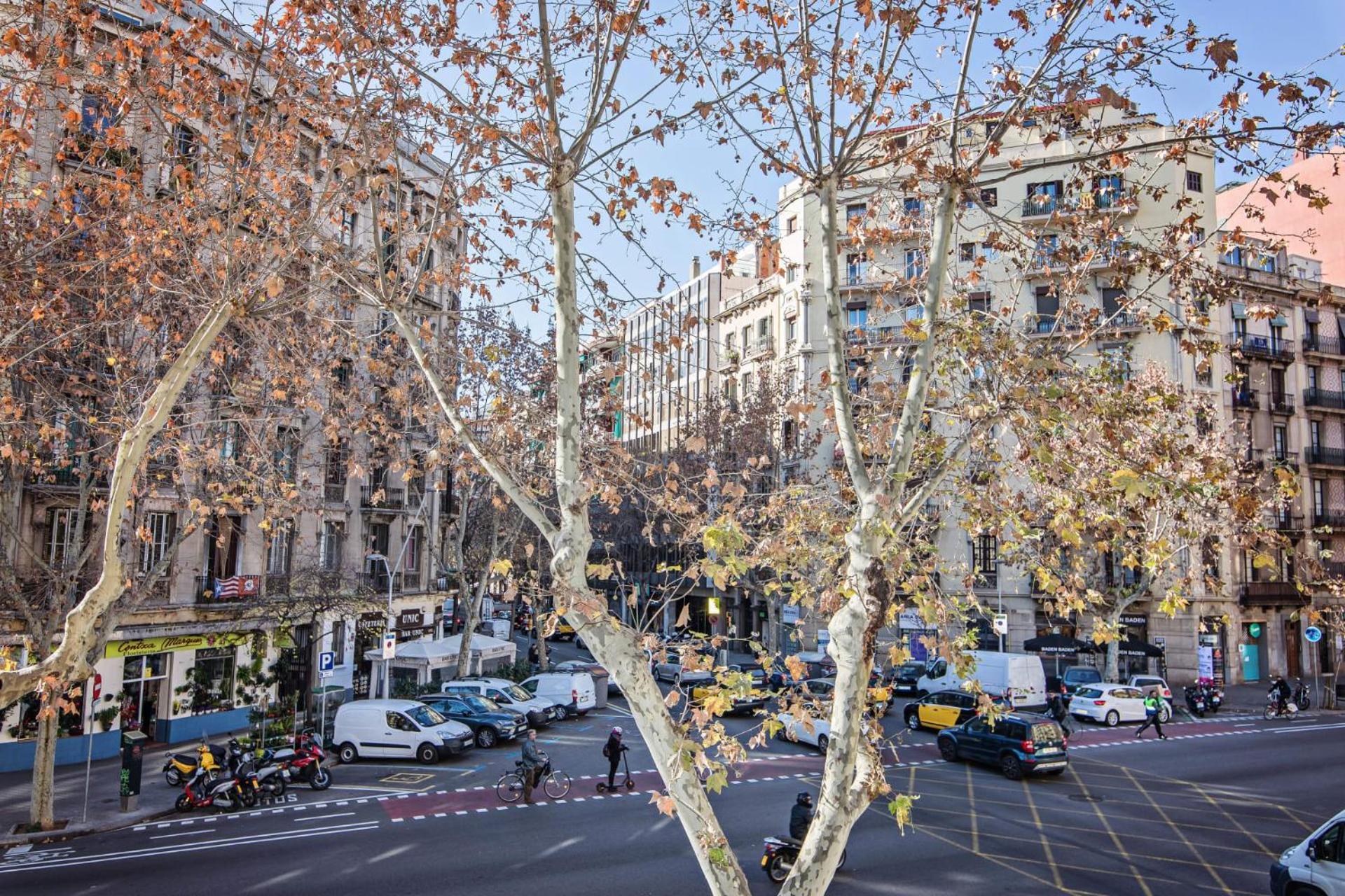 Sweett - Comte Urgell — Photos 3